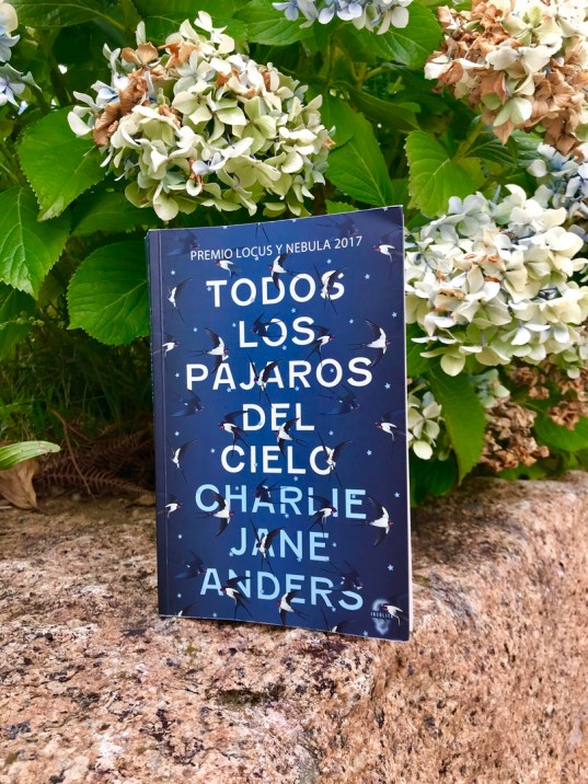 Todos los pájaros del cielo