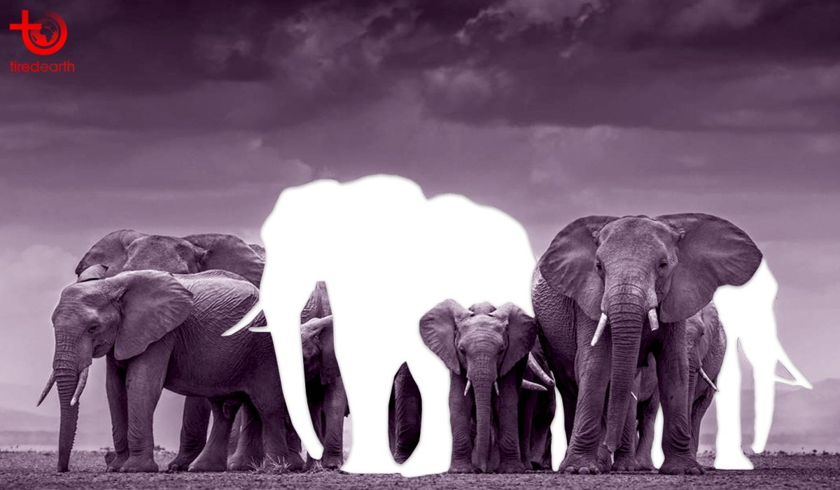 La única criatura enorme e inofensiva – Mujer, feminismo, ciencia ficción