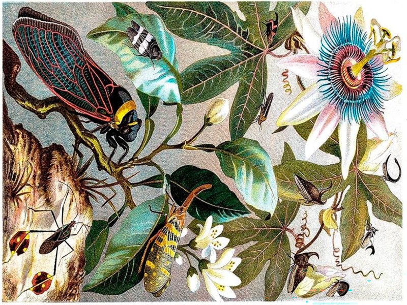 Las mujeres Weyward: raíces, resistencia y&nbsp;ecofeminismo